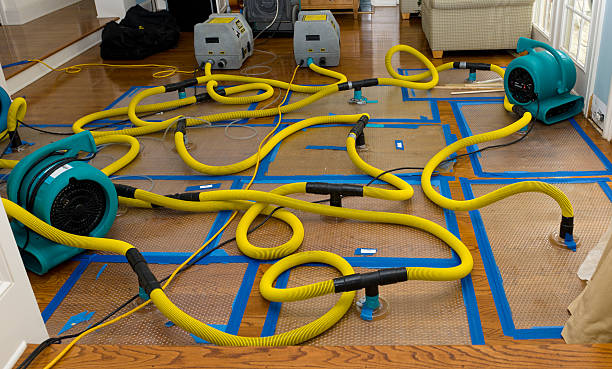 Professional Crawl Space Water Removal technician working in Mount Morris, MI